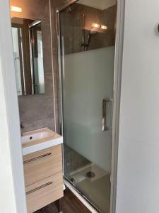 ブールジュにあるT2 4 pers face gare SNCF Appart Hotel le Cygne 5のガラスのシャワーと洗面台を備えたバスルーム