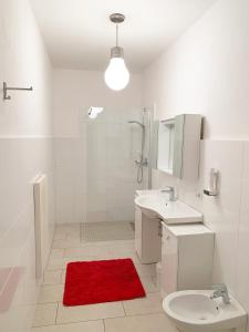 baño con lavabo, aseo y alfombra roja en Rosengarten en Bolzano