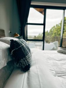 Gallery image of Echo Lodge in Auckland