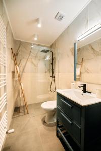 布拉日的住宿－Liziera Blaj，一间带水槽、卫生间和淋浴的浴室