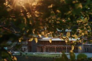 a building is shown through the leaves of a tree at Liziera Blaj in Blaj