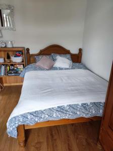 łóżko z dwoma poduszkami w sypialni w obiekcie Nikifour, apartament nad deptakiem w mieście Krynica Zdrój