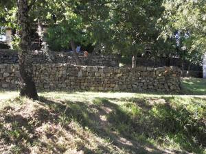 a stone wall in a field with a tree at Le Mas de la Grenouillère in Joyeuse