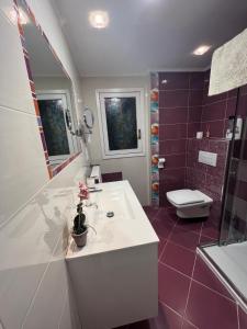 a bathroom with a white sink and a toilet at La Perla del Pirineo in Jaca