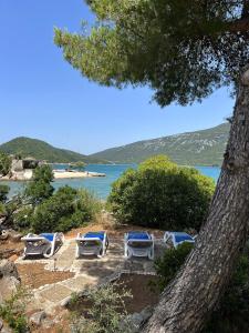 Příroda nedaleko apartmánu + 31 fotografií