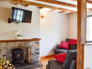 a living room with a fireplace and a tv at Troedyrhiw Isaf in Tregaron