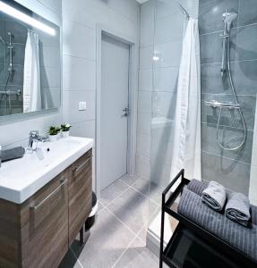 ein Bad mit einem Waschbecken und einer Dusche in der Unterkunft LE PARADIS FISCAL, 5min Bâle, parking privé in Saint-Louis