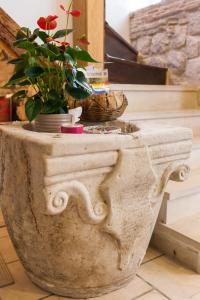 a large concrete planter with a plant in it at Guesthouse Vicelic in Dubrovnik