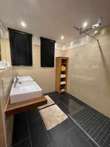 y baño con lavabo y ducha. en Haus Diel - Premium Apartments mit Küche, en Pettneu am Arlberg