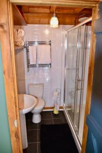 a small bathroom with a toilet and a shower at 18th century 3 bed Barn- Beautifully converted in Lincolnshire