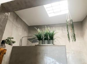 a room with potted plants on top of a counter at La Casilla del San Antón in Níjar +25 photos