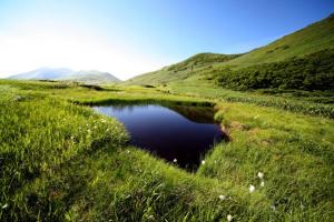 a small pond in the middle of a grassy field at Yuzawa Ski House in Yuzawa +10 photos