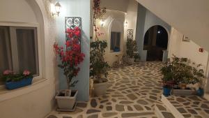 a hallway with potted plants on the floors of a building at Akteon Hotel in Logaras