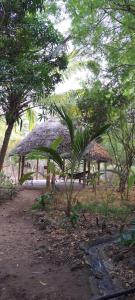 a group of tables with straw umbrellas in a forest at blue lilu Kizimkazi in Kizimkazi