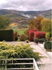 uma vista para um jardim com flores e árvores em Logement de charme au coeur de la nature em Osenbach