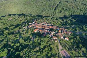 an aerial view of a house in a forest at Monforte de la Sierra - Acogedora y cálida vivienda in Monforte de la Sierra