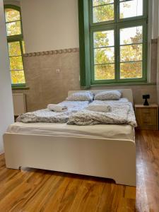 Bett in einem Zimmer mit 2 Fenstern in der Unterkunft Pokoje nad Łyną in Olsztyn
