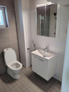 La salle de bains blanche est pourvue de toilettes et d'un lavabo. dans l'établissement Professori, à Joensuu