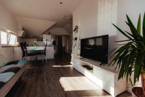 a living room with a flat screen tv on a wall at Sunny Oak Estate in Mengeš