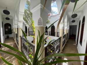 un couloir dans une maison avec une plante dans l'établissement Riad Elias & Spa, à Marrakech