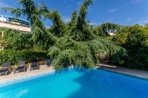 a large tree next to a swimming pool at Apartments Milivoj in Seget Vranjica