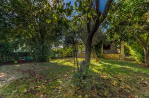 Zahrada ubytování Apartments Milivoj