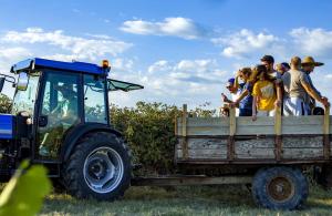 Un gruppo di persone nel retro di un camion di Mestvireni a Telavi