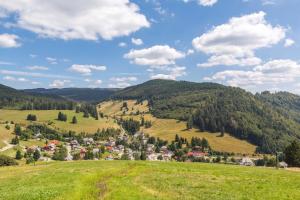 een dorp op een heuvel in de bergen bij Design-Ferienhaus "auf der Schanz" mit privater Sauna - Todtnau-Muggenbrunn, Feldberg im Schwarzwald in Muggenbrunn