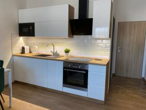 Kuchyňa alebo kuchynka v ubytovaní Frýdecká Apartments