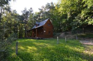 une petite cabane en bois au milieu d'un champ dans l'établissement Meadow Ranch Holiday Home, à Jaroslavické Paseky