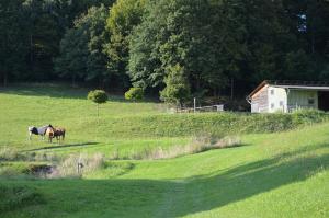 Fotografia z galérie ubytovania Meadow Ranch Holiday Home v destinácii Jaroslavické Paseky