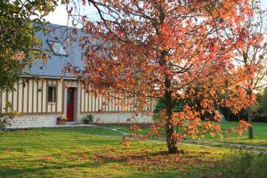 a house with a tree in the yard at Le Clos Marie in Sausseuzemare-en-Caux