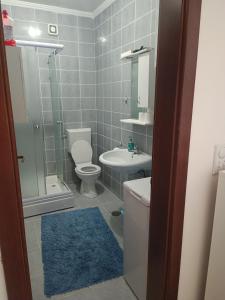 een badkamer met een toilet, een wastafel en een douche bij Zovin Breg in Zlatibor