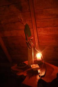 une bougie et un vase avec une plante sur une table dans l'établissement Cinnamon Paradise, à Ahangama