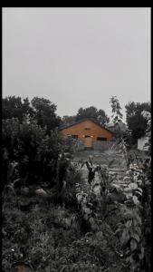 a black and white photo of a house in a garden at كوخ البيلسان in Al Shafa