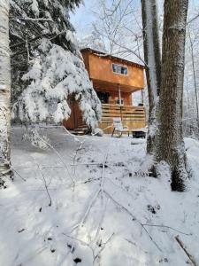 una baita nel bosco nella neve di Vana Kuti-cabin in the woods a Camden