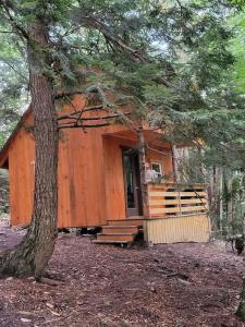 una pequeña cabaña en el bosque con un árbol en Vana Kuti-cabin in the woods, en Camden