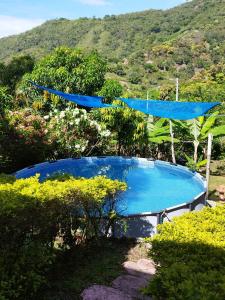 The swimming pool at or close to Finca de descanso SaraMari
