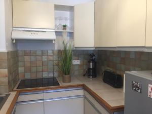 a kitchen with white cabinets and a plant on the counter at Charmant appartement bord de mer, Plage in Cagnes-sur-Mer