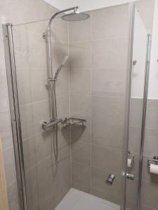 ducha con puerta de cristal y cabina de ducha en Ferienhaus am Himberg, en Straden