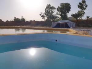 a blue swimming pool with a tent in the background at Tijan Siwa in Siwa