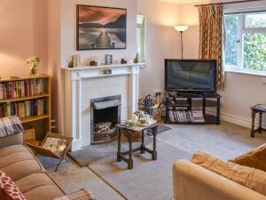 a living room with a fireplace and a television at Montana Cottage in Happisburgh