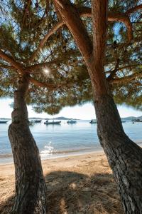 Zdjęcie z galerii obiektu Campo Di Mare w mieście Porto-Vecchio