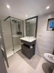 W łazience znajduje się umywalka, prysznic i toaleta. w obiekcie L'antre deux Pierres, suite de charme, romantisme, jacuzzi privé, braséro w mieście Bouyon