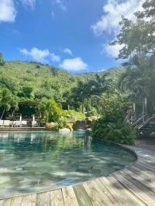 a swimming pool with a mountain in the background at Villa Paradis Bleu Maison sur la plage, 2 chambres, piscines, tennis in Baie Nettle