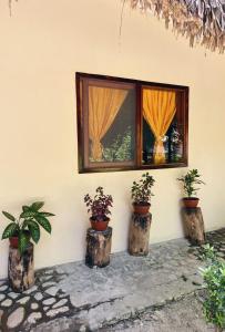 a window with three potted plants inront of it at Hotel Villas Kin Ha in Palenque