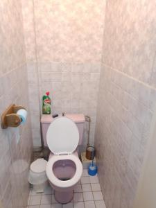 a small bathroom with a toilet and a tiled wall at Maison entière Garage et parking in Montluçon
