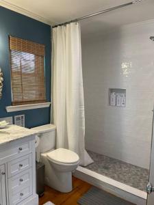 a bathroom with a toilet and a shower at Write on the Bay, a Waterfront Retreat in Coastal Alabama in Fairhope
