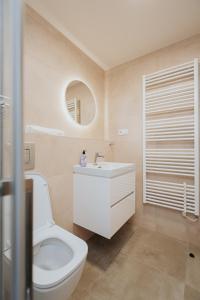 bagno con servizi igienici, lavandino e specchio di Apartmán BALIN X31 a Dolný Kubín