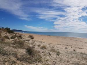 piaszczysta plaża z oceanem w tle w obiekcie MARSEILLAN-PLAGE Appartement Coeur de sable w mieście Marseillan